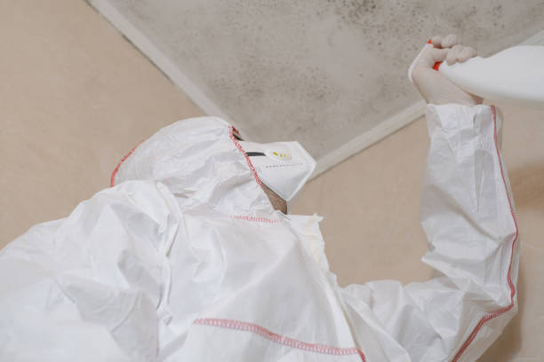Best Mold Testing and Inspection Services in Continental, OH