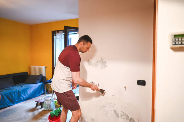 Best Residential Mold Remediation in Continental, OH